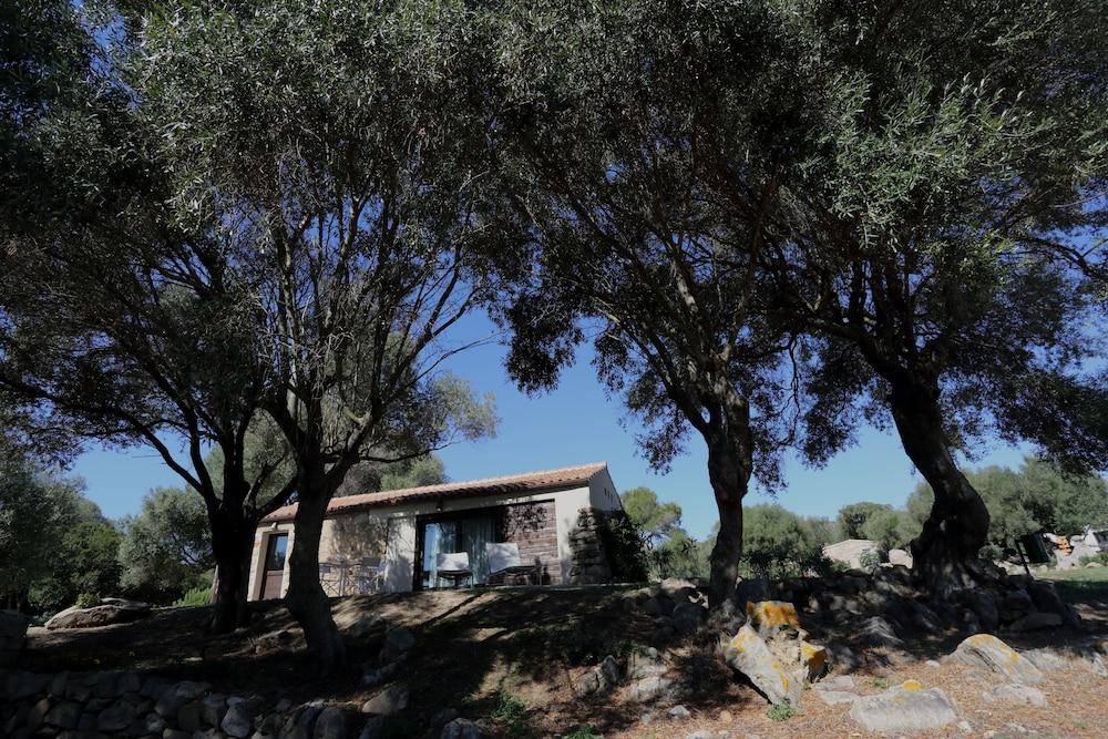 Liscia Country Relais Pensionat Sant'Antonio di Gallura Exteriör bild