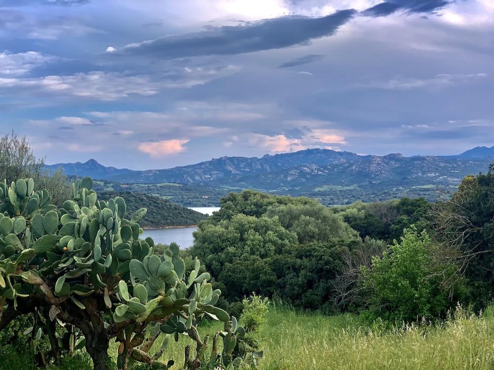 Liscia Country Relais Pensionat Sant'Antonio di Gallura Exteriör bild