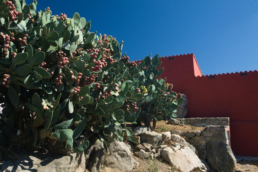 Liscia Country Relais Pensionat Sant'Antonio di Gallura Exteriör bild