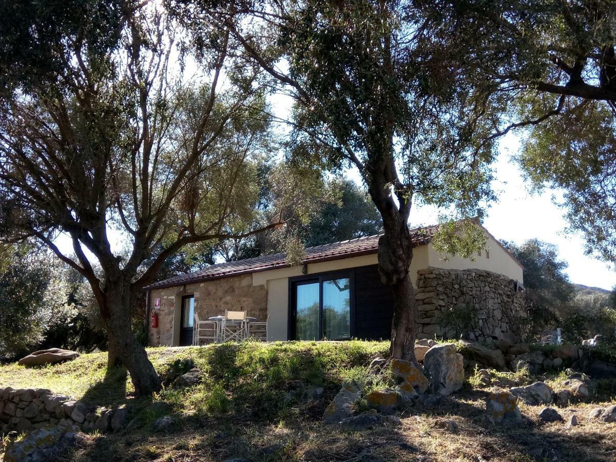 Liscia Country Relais Pensionat Sant'Antonio di Gallura Exteriör bild